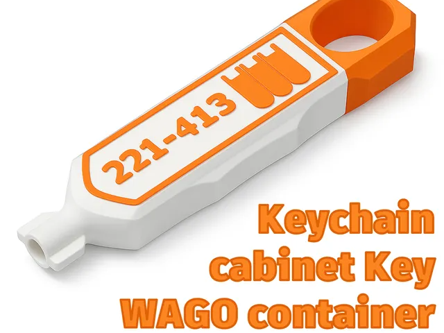 WAGO Keychain // Control cabinet key // Storrage