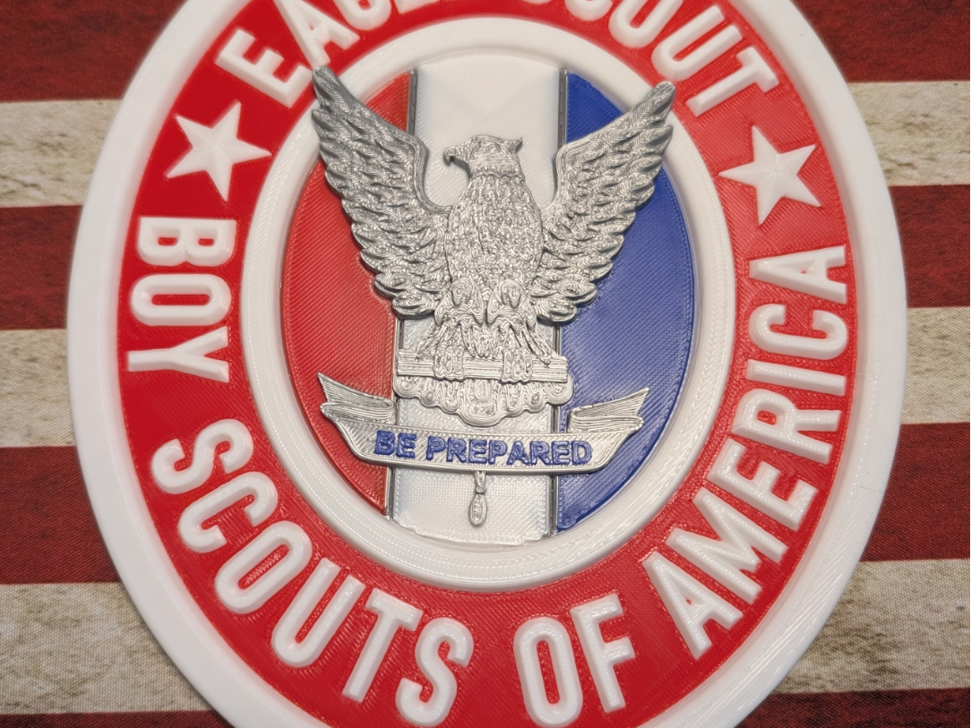 Eagle Scout Rank