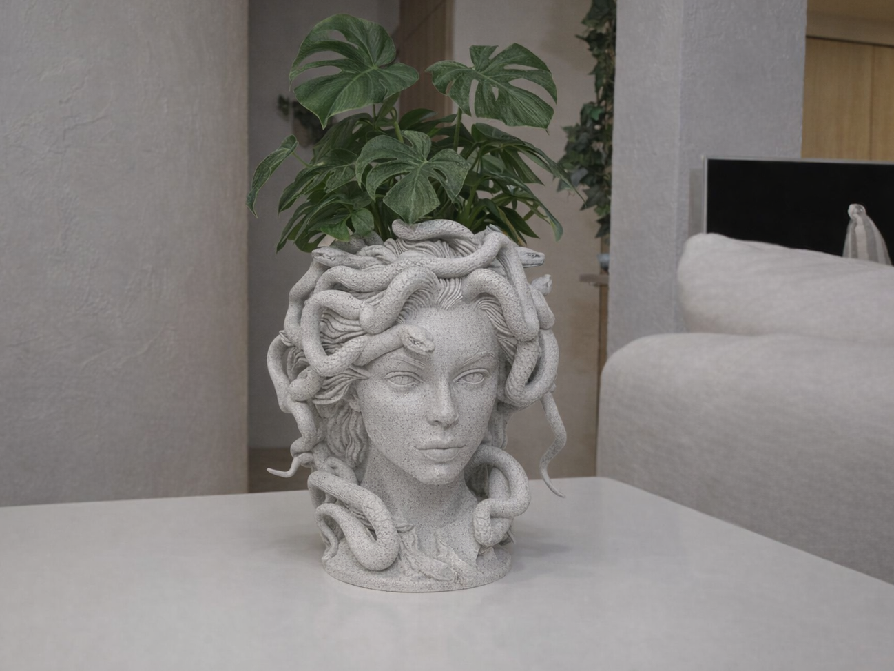 Medusa Vase for plants