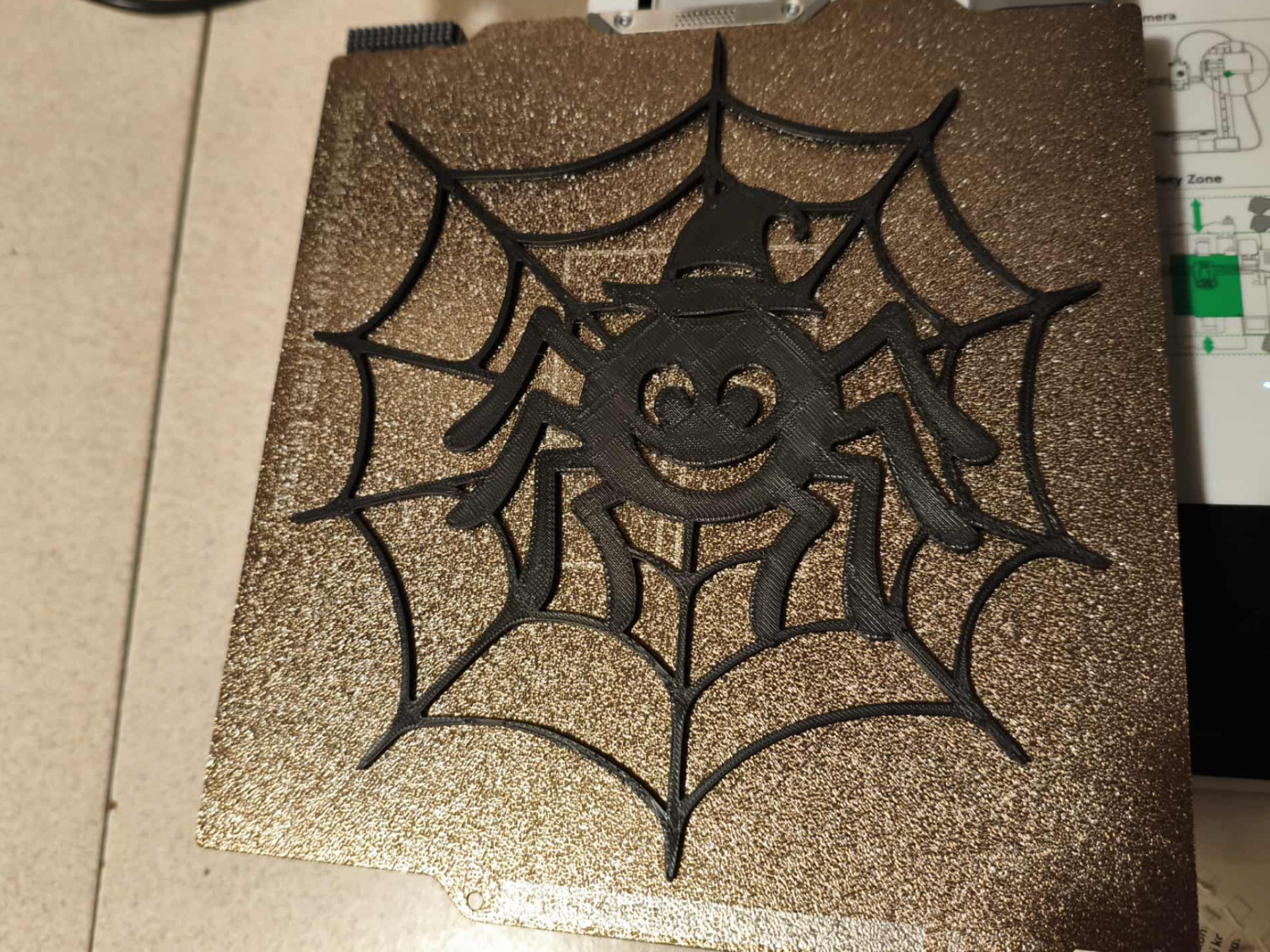 A1mini_ Web with Hanging Spider for Halloween