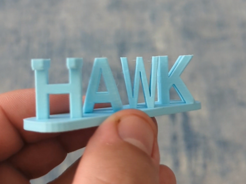HAWK TUAH SIGN