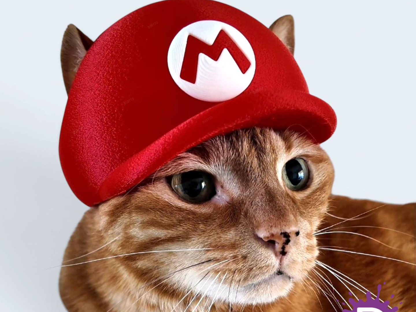Mario's Cat Cap