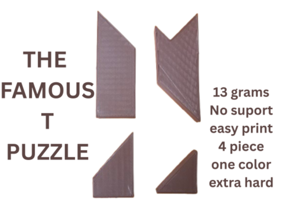 THE FAMOUS T PUZZLE