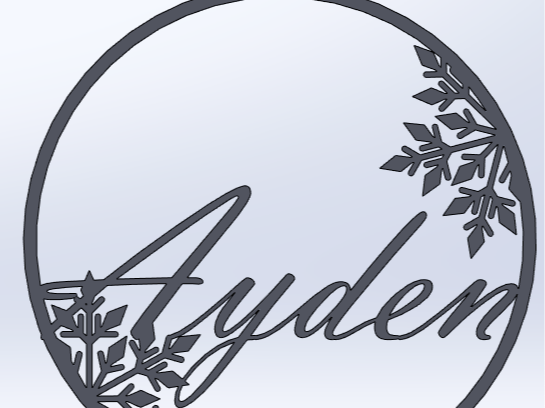Boule de Noël personnalisé "Ayden"