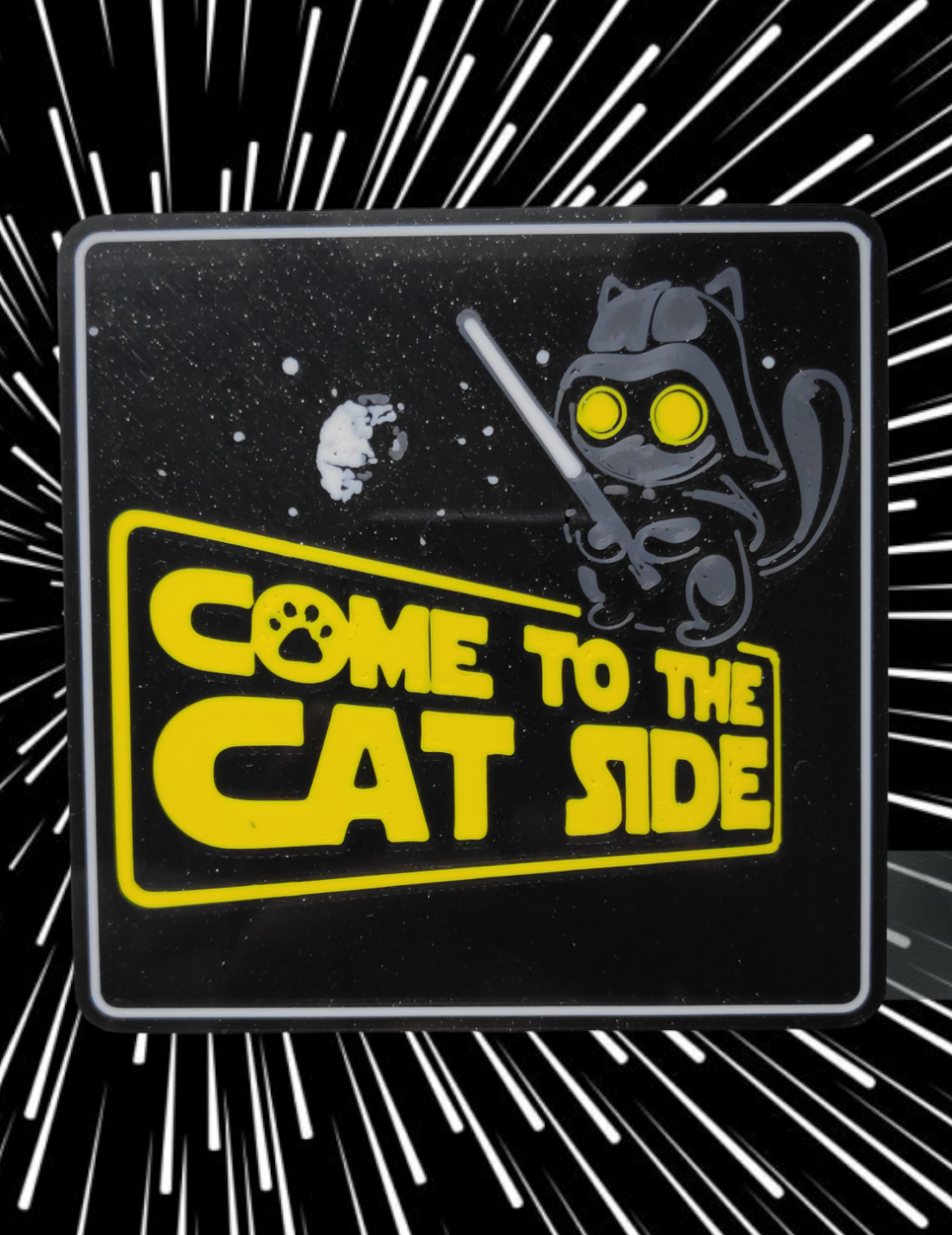 Coaster_Cat_Side