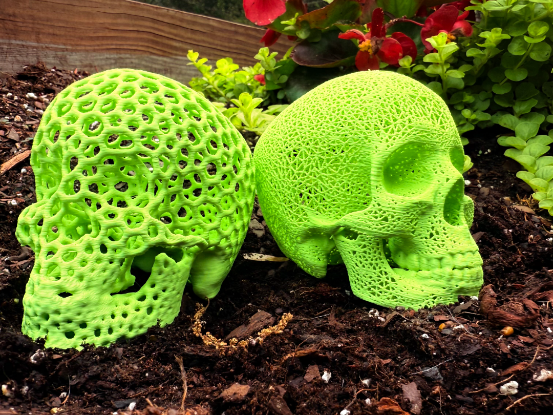 Skull Sculpture - Voronoi Style