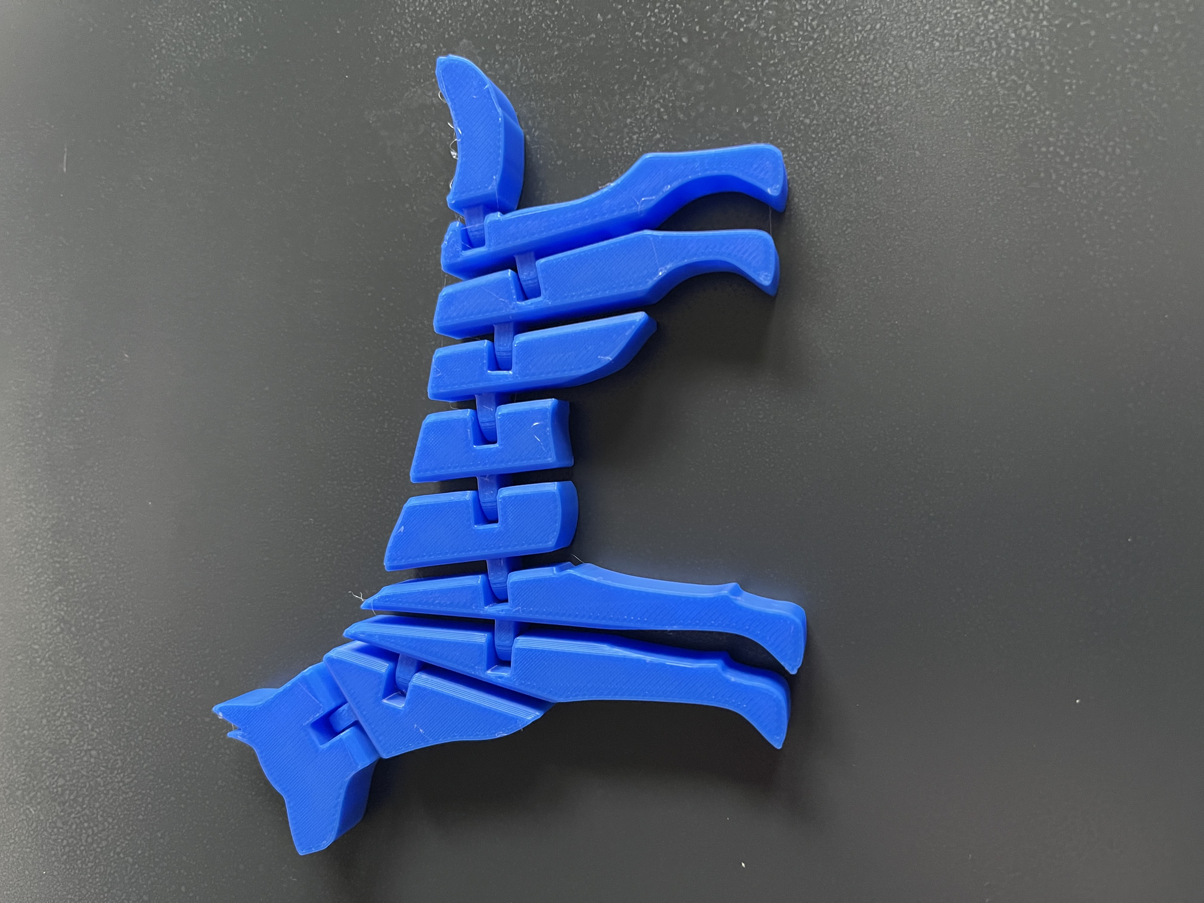"Flexi" Dog2