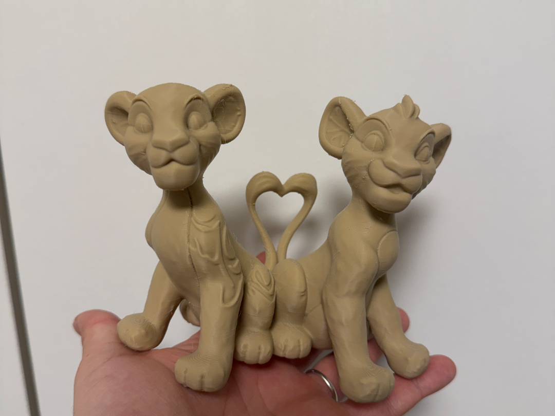 Simba e Tigro