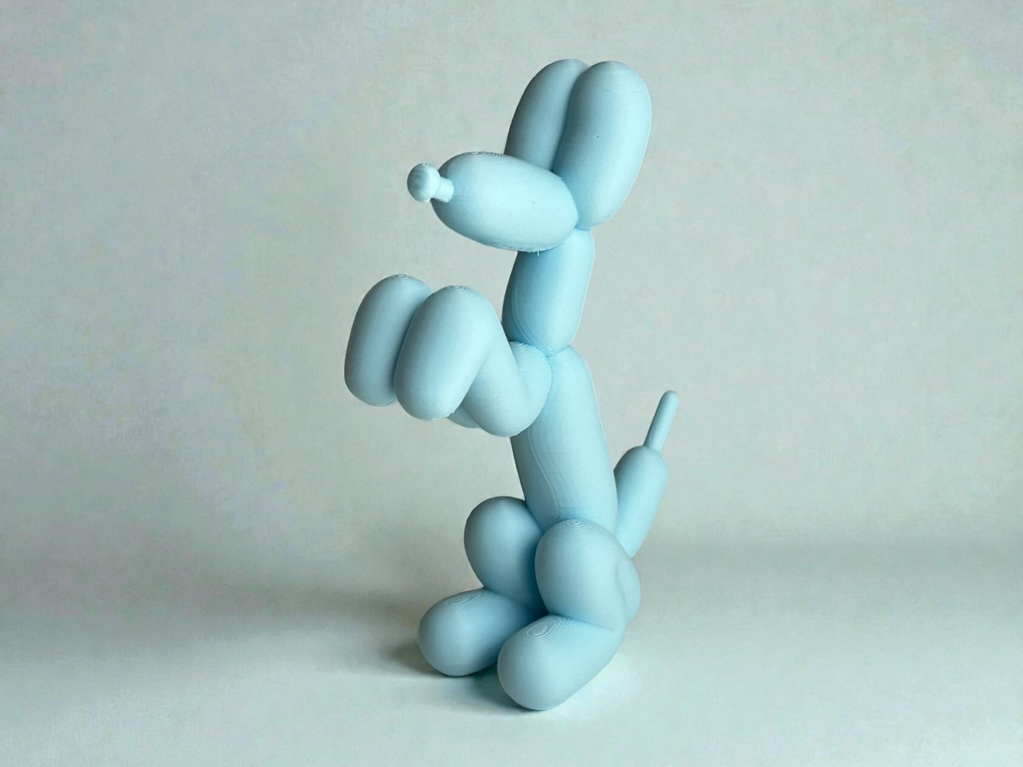Begging Balloon Dog