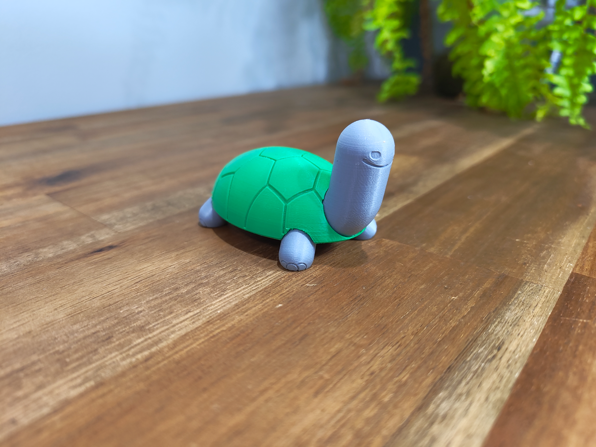 Tortoise (no supports)