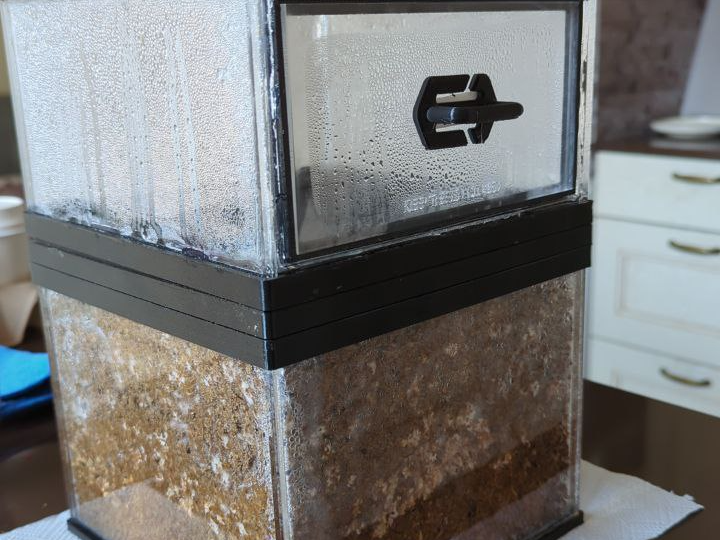 Modular Edible Mushroom Growbox Monotub MK1