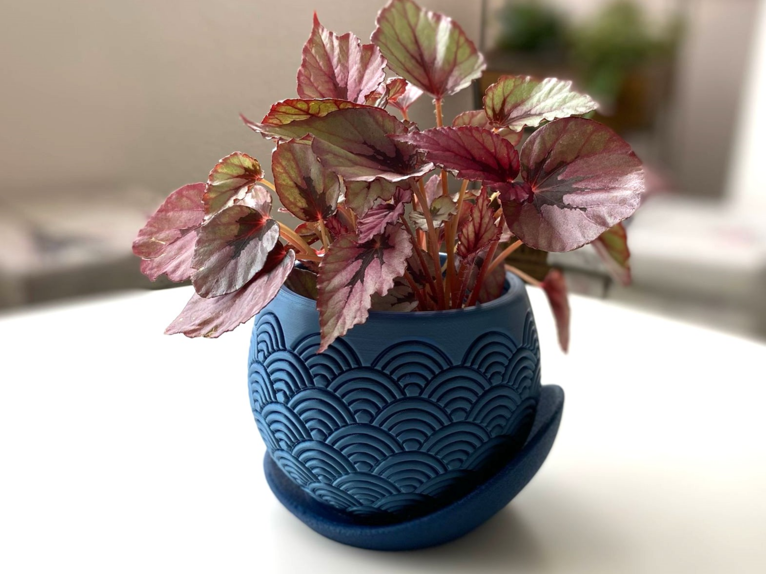 Japanese Wave Plant Pot