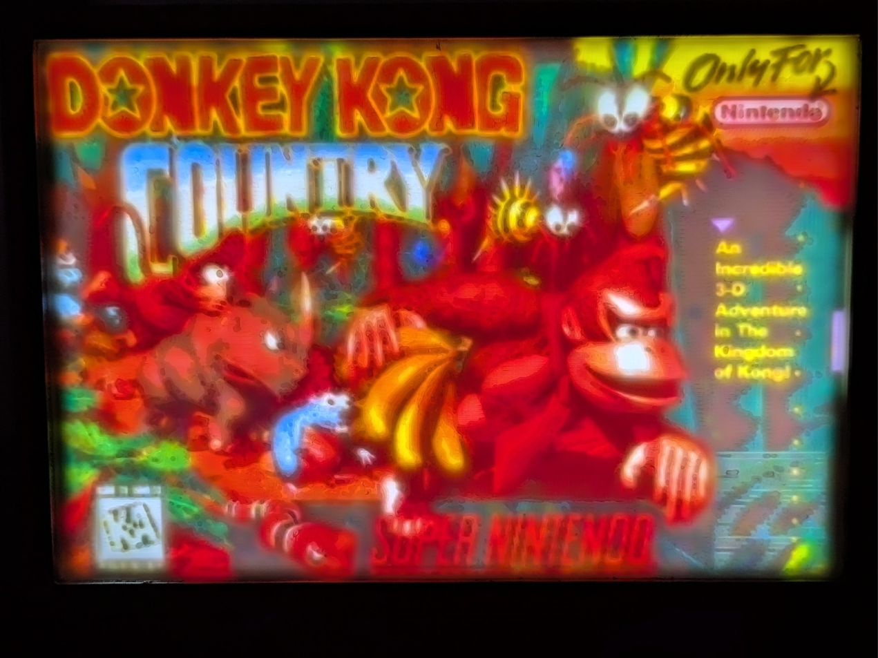 Donkey Kong Country Litho