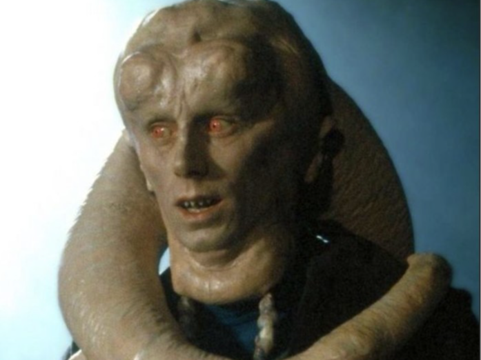 Bib Fortuna