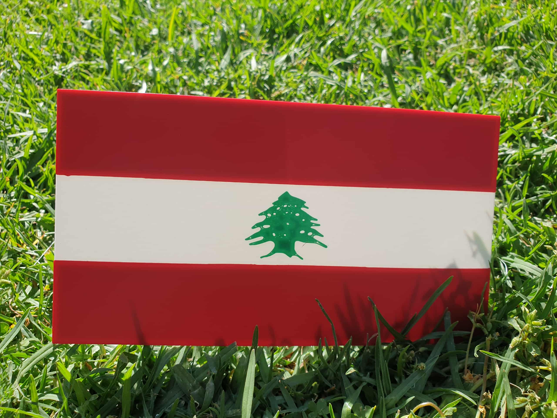Lebanon Flag
