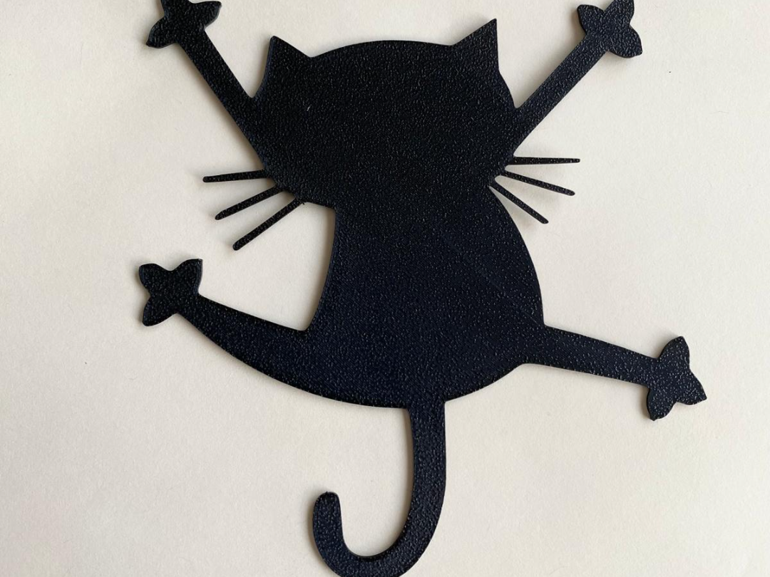 Funny Cat in a Comical Pose