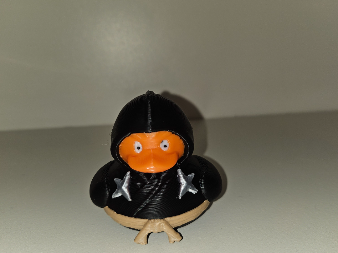 Ninja Duck