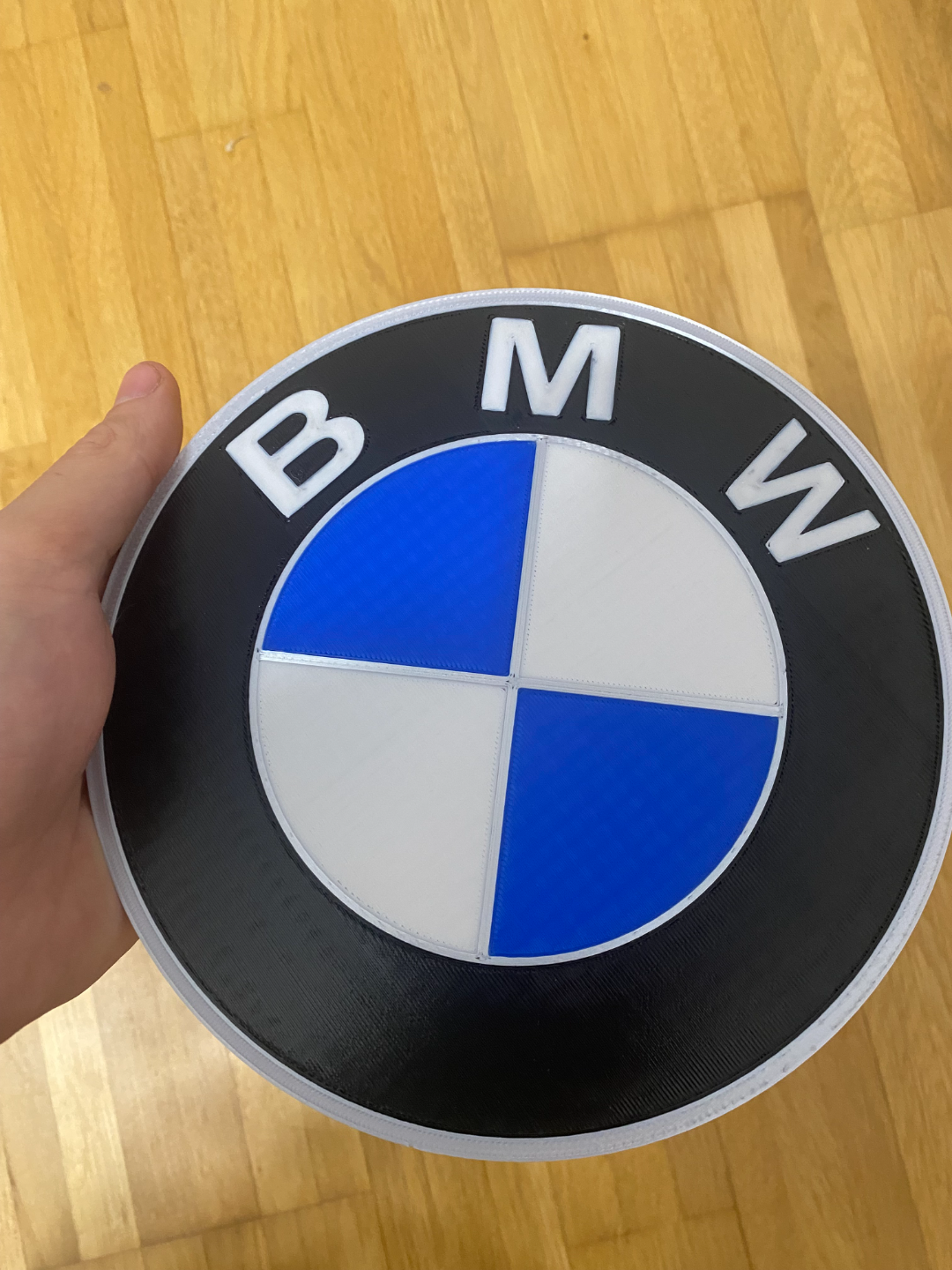 BMW Logo