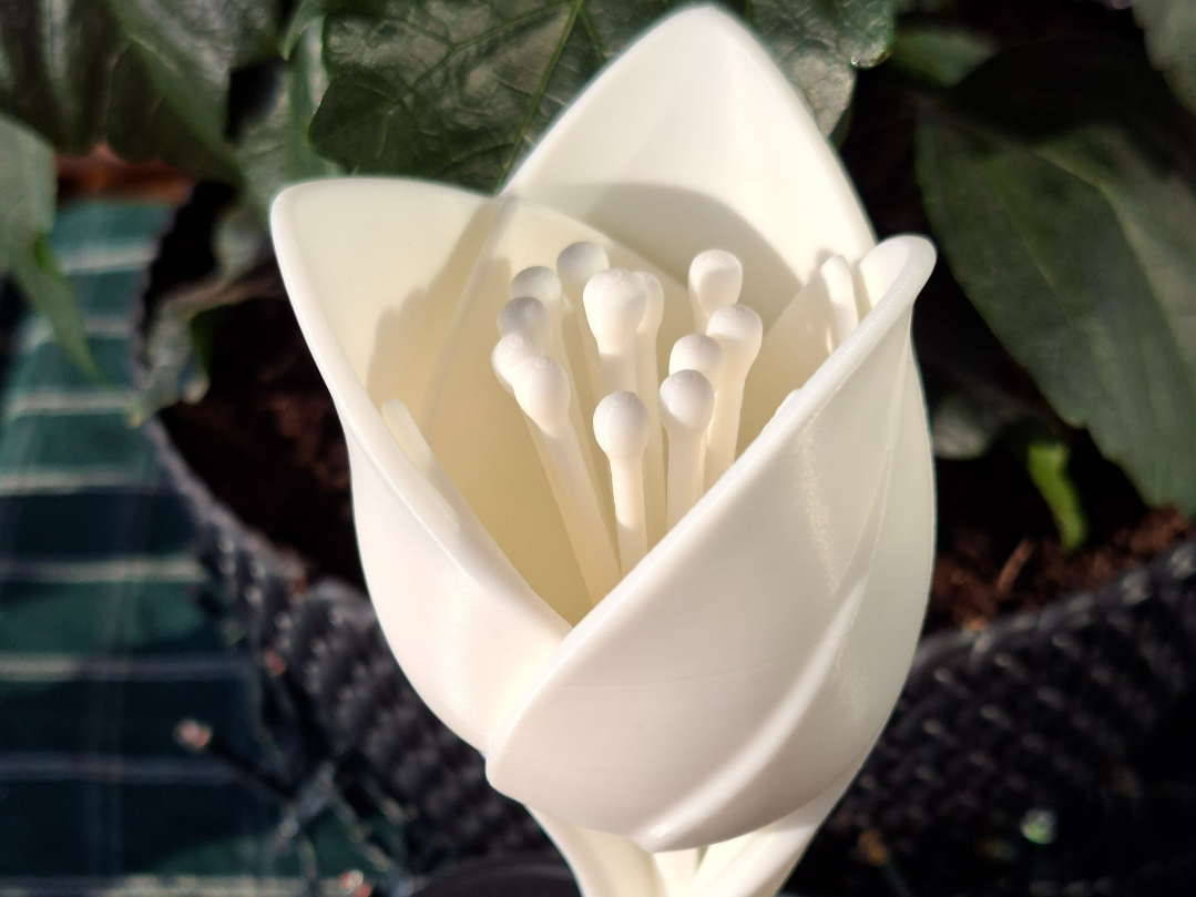 Tulpen-Skulptur – clean & elegant