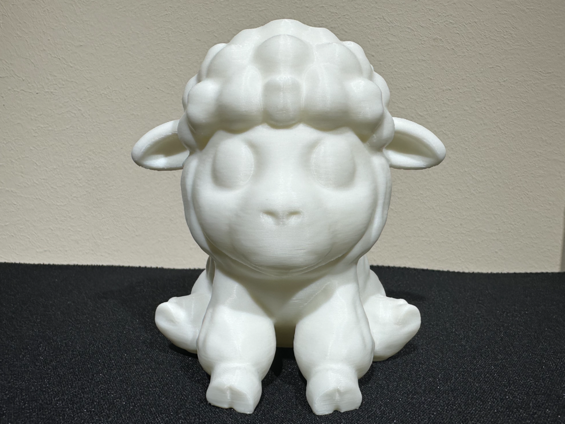 Cute sheep