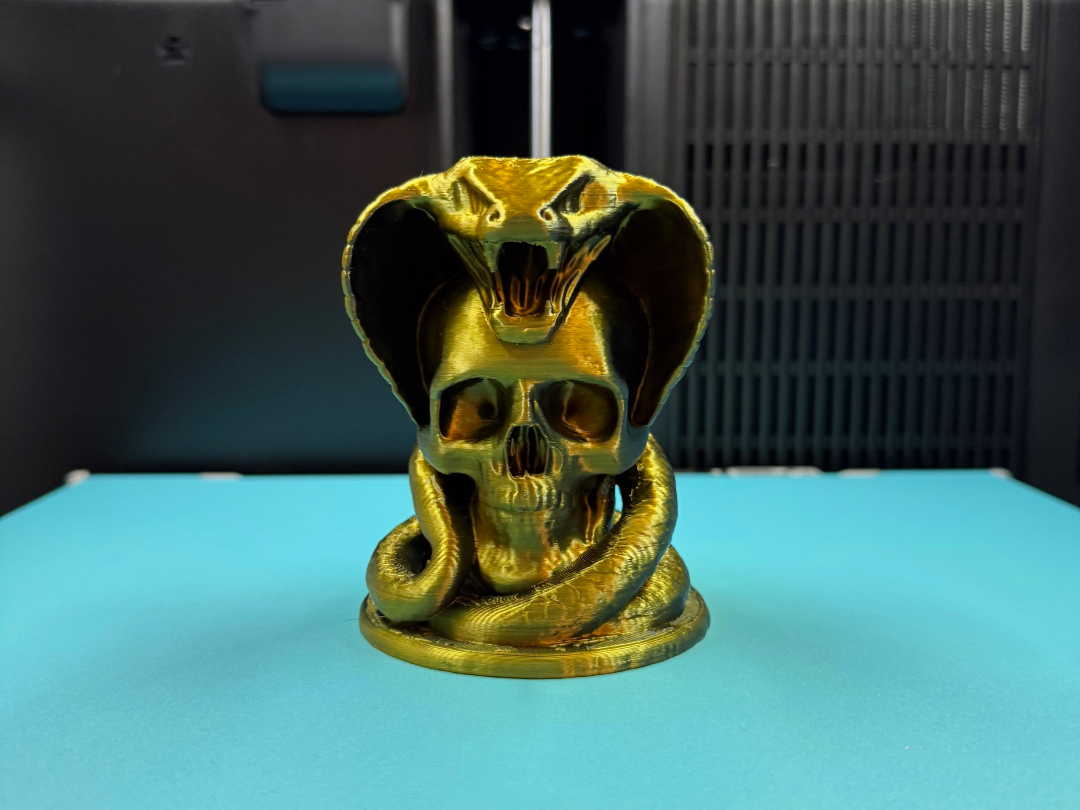 Totenkopf mit Schlange