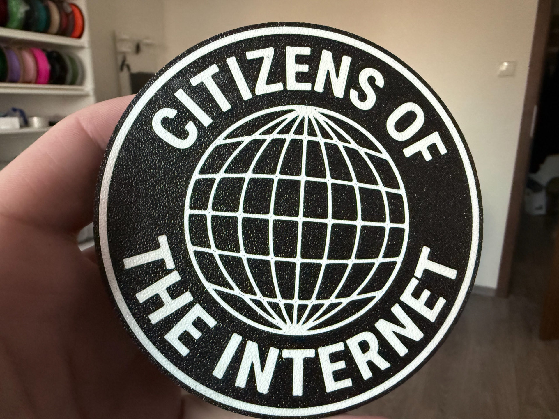 Citizens of the Internet coaster