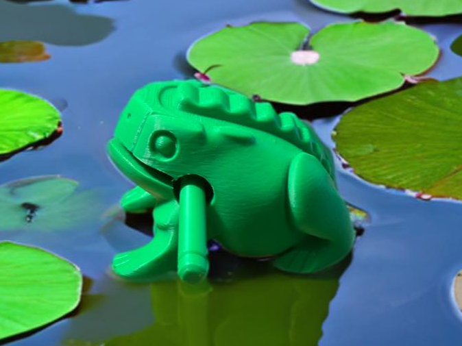Percussion Frog,