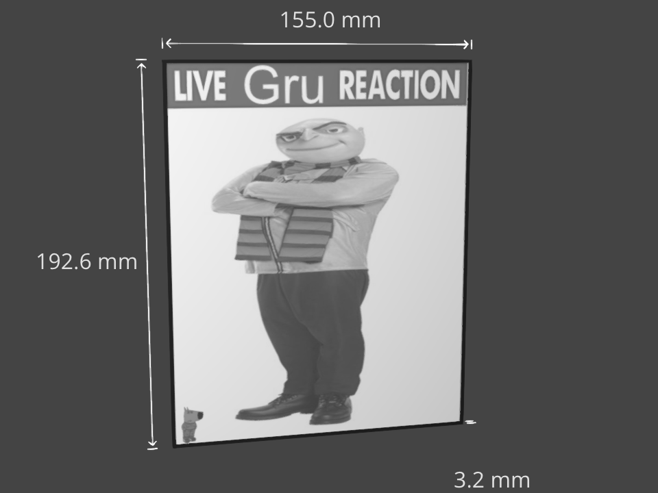 Gru Reaction Lithopane