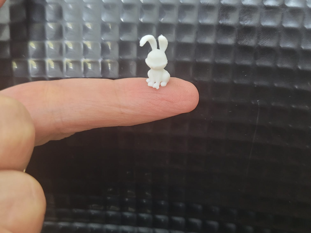 tiny rabbit