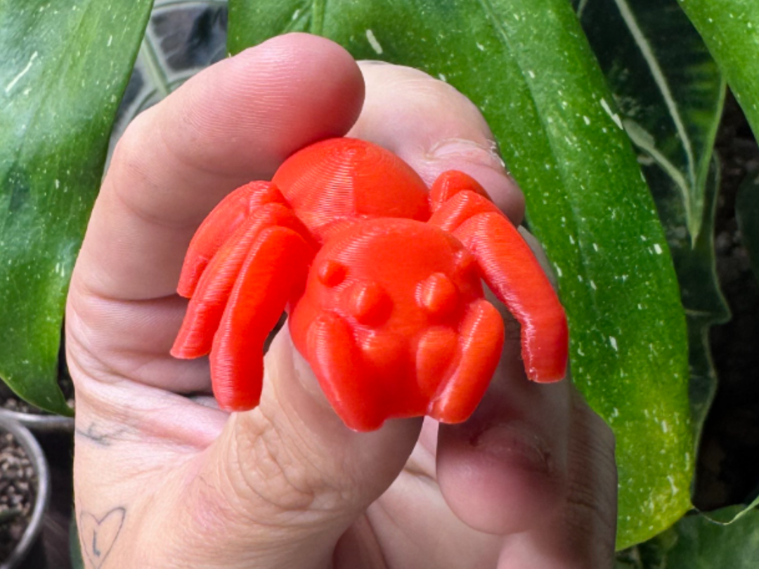 Cute Magnetic Jumping Spider