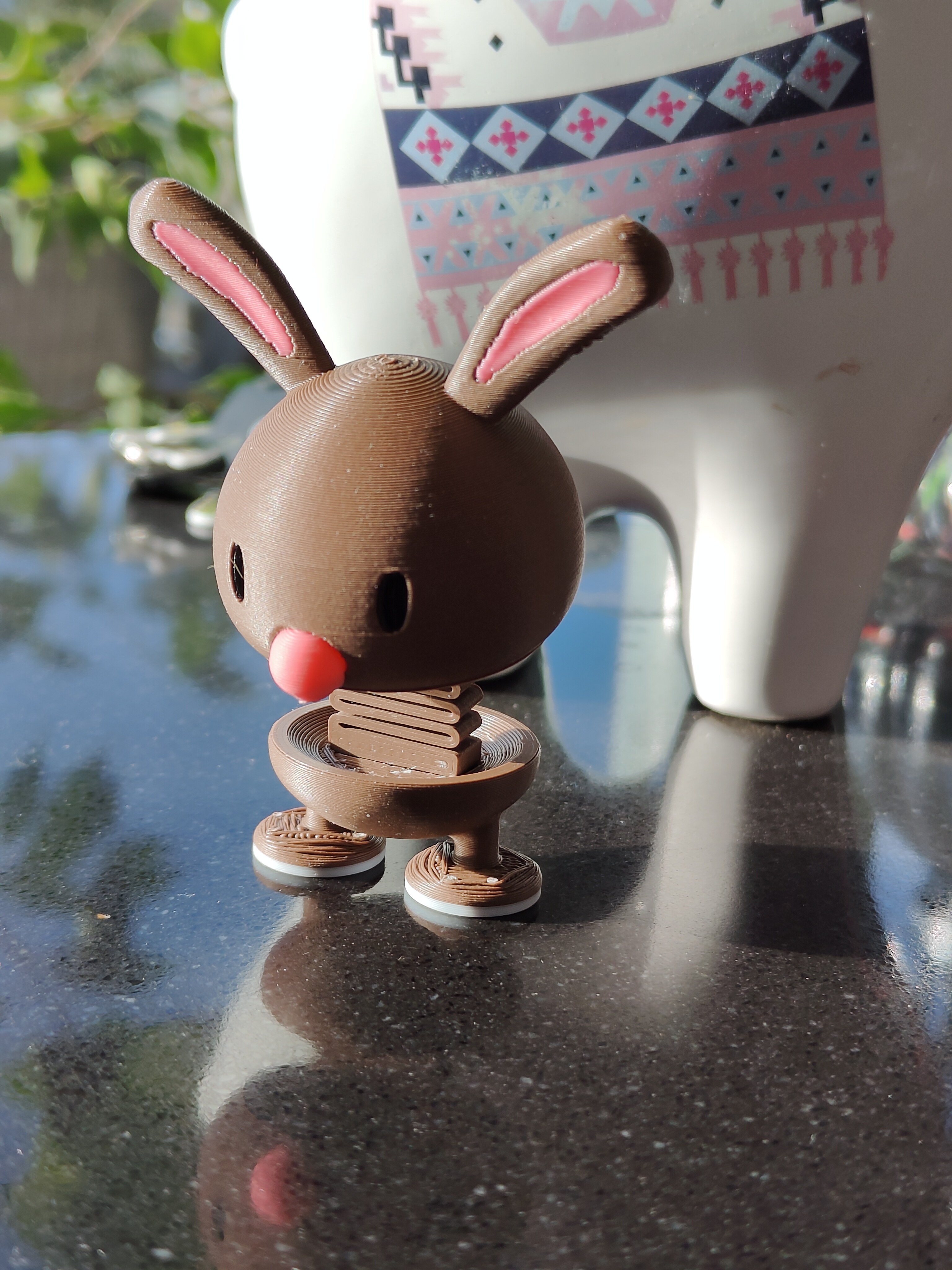 Bunny Springie