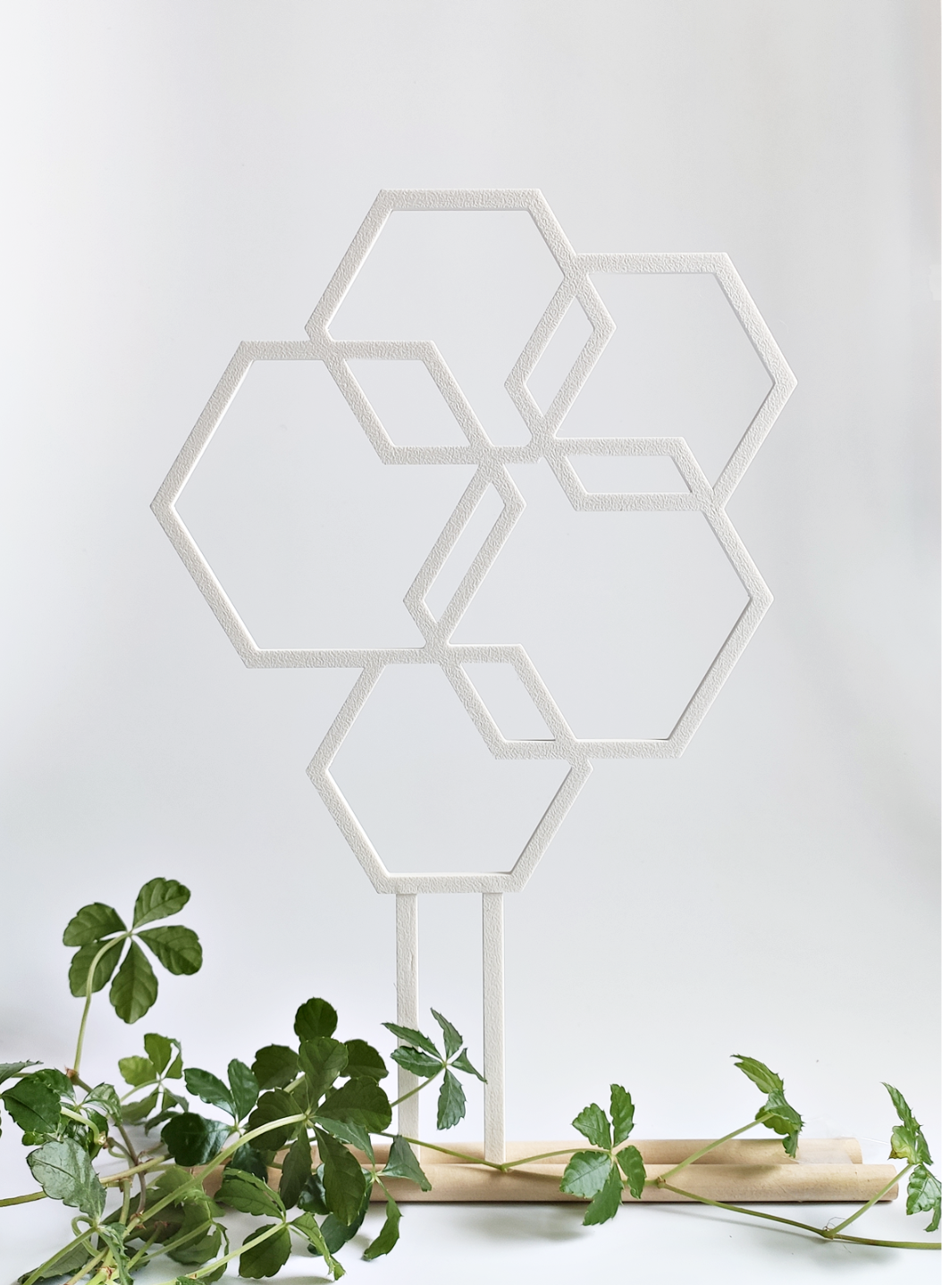 Hexagonal support for plants