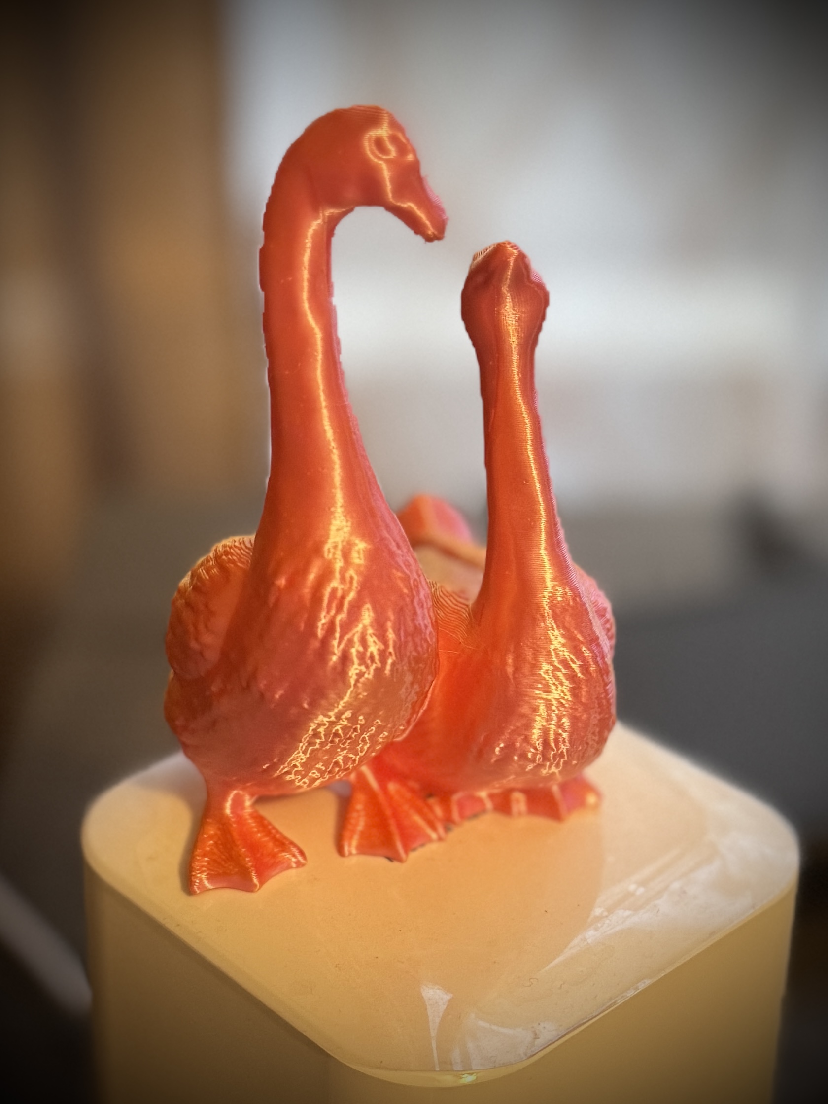 2 Geese