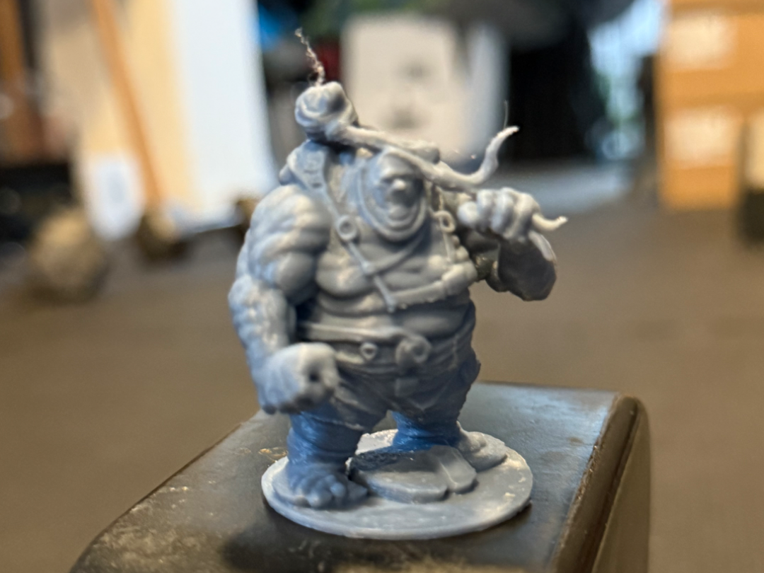DnD Miniature Giant