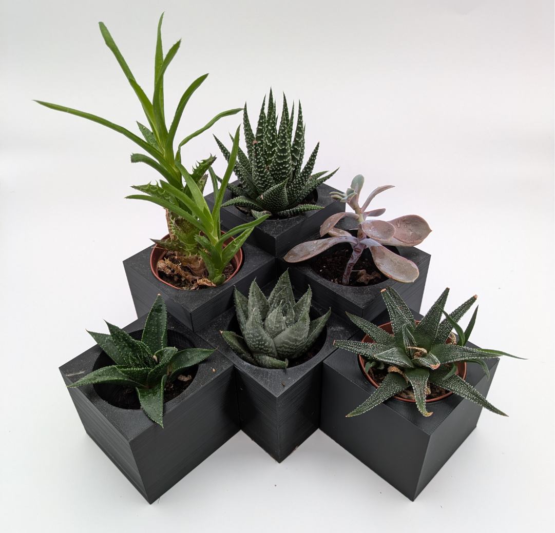 Succulent Planter Magnet Cubes