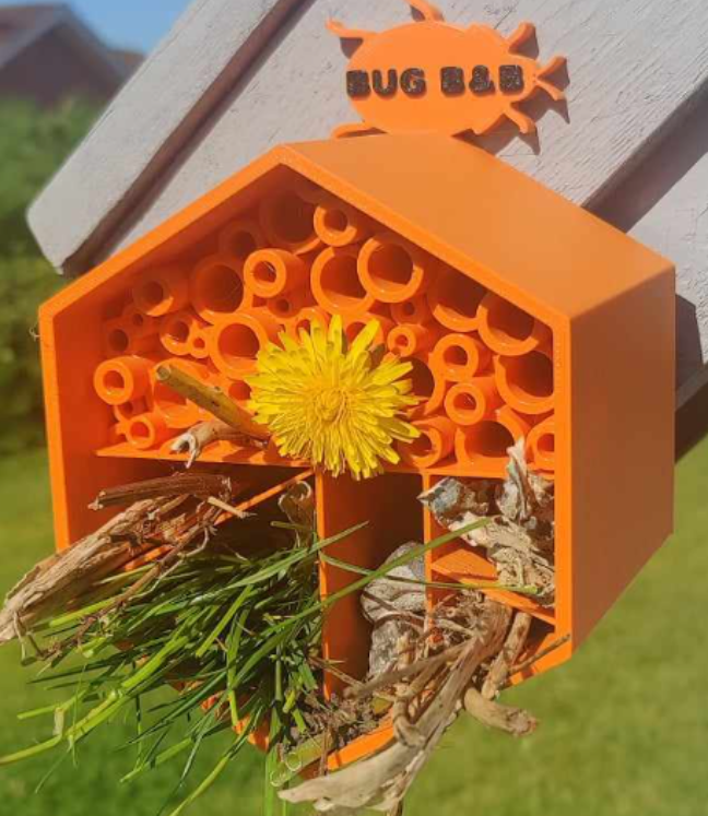 Bug B&B