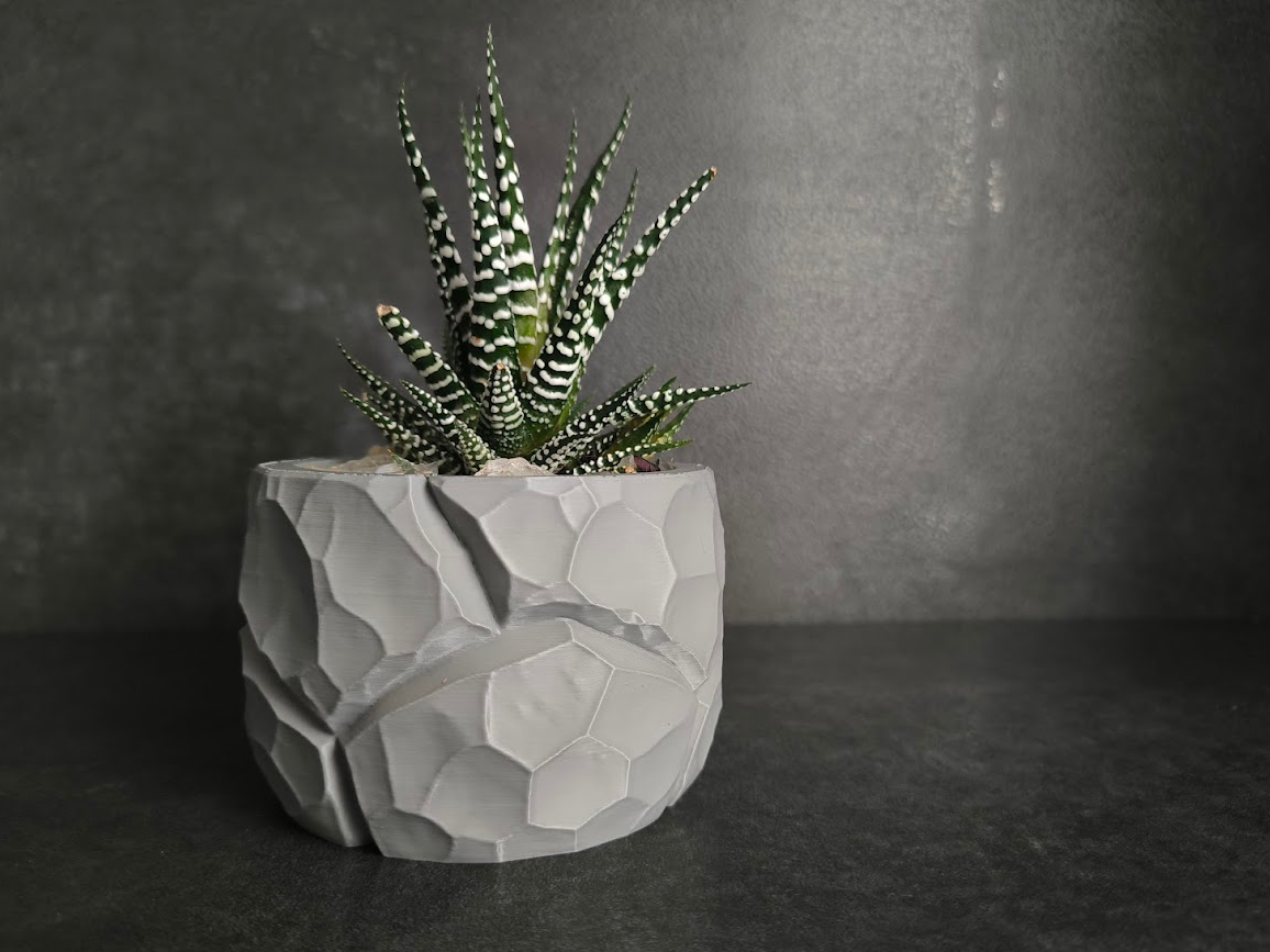 Rocky Planter