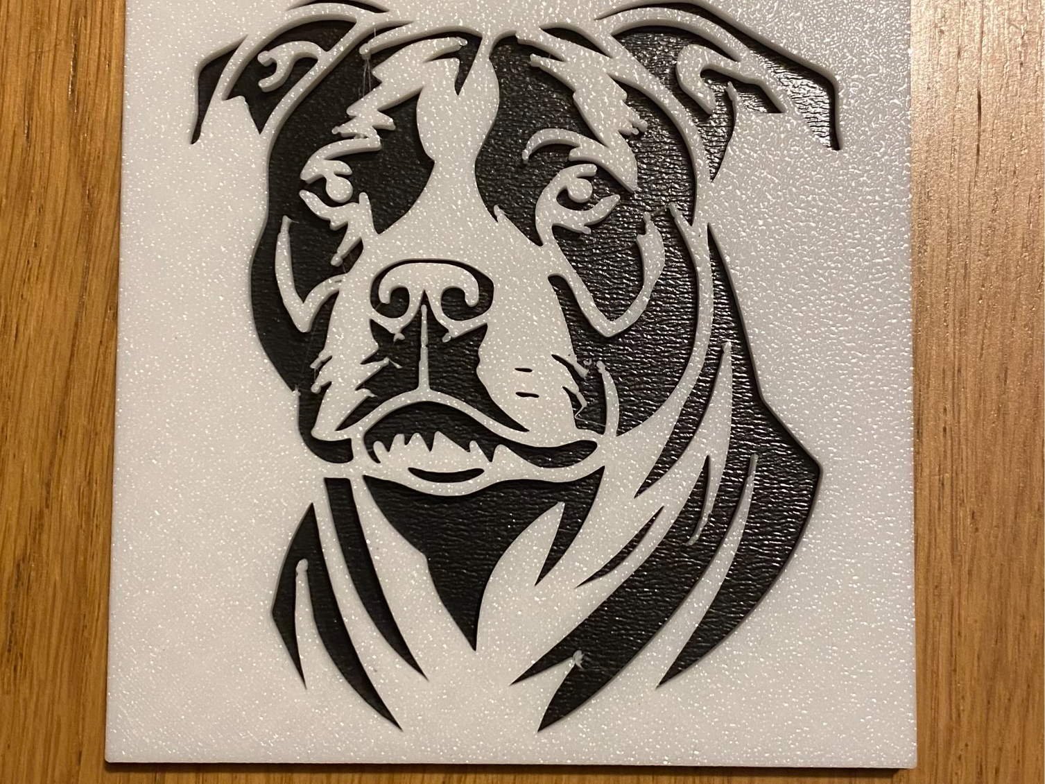 Pitbull coaster