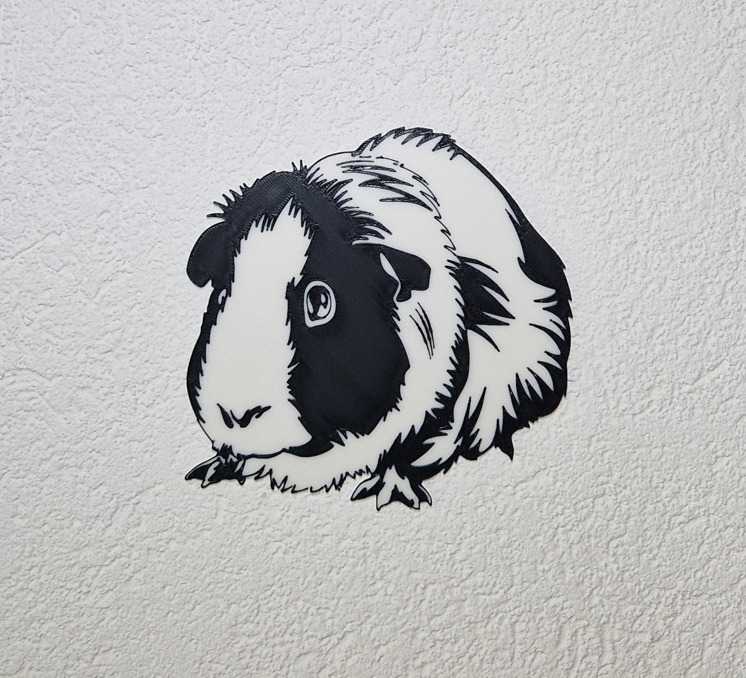 Guinea Pig - Meerschweinchen