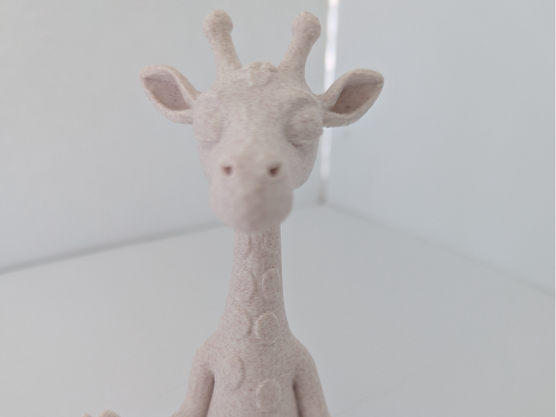 Calm Yoga Giraffe