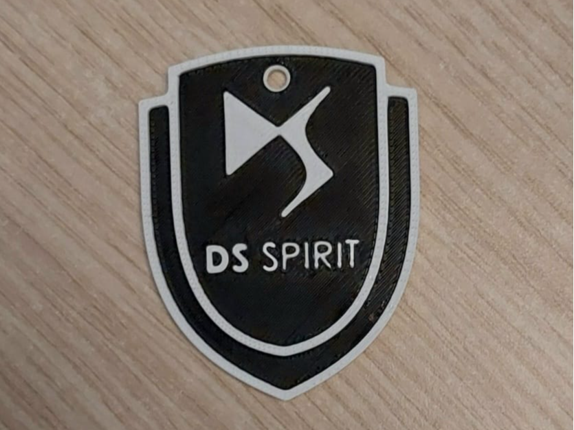 DS Spirit Keychain