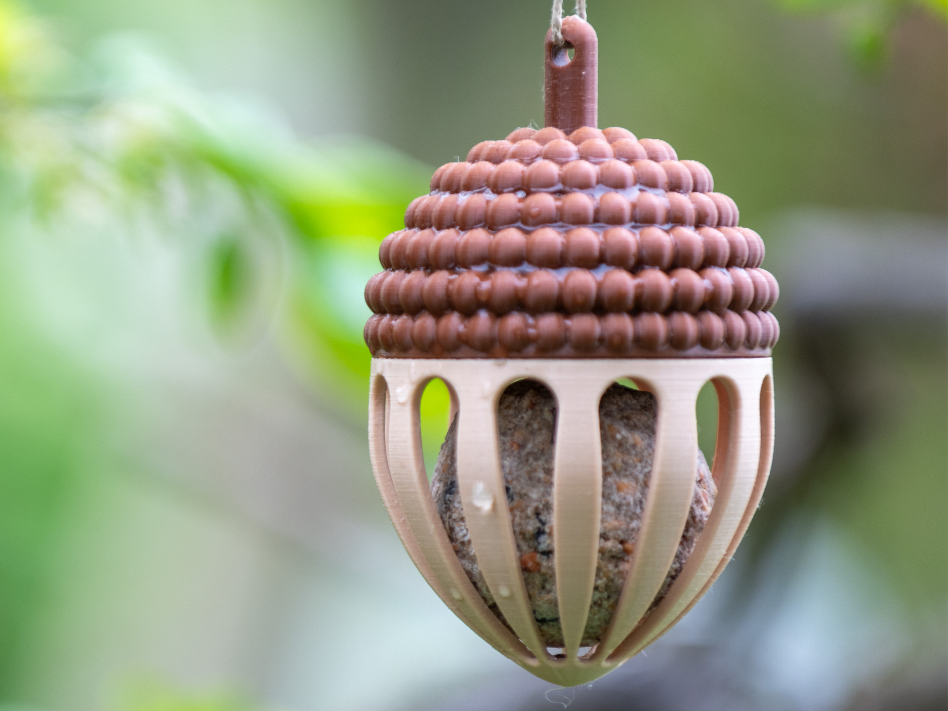 Acorn bird feeder for fatballs