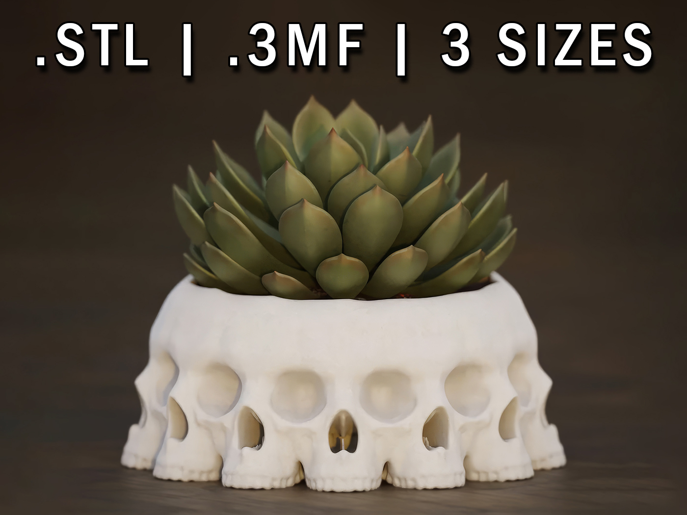 ๐๐ค๐ง๐ฉ๐๐จ ๐๐ช๐ก๐ฉ๐ช๐จ - The Face of Death