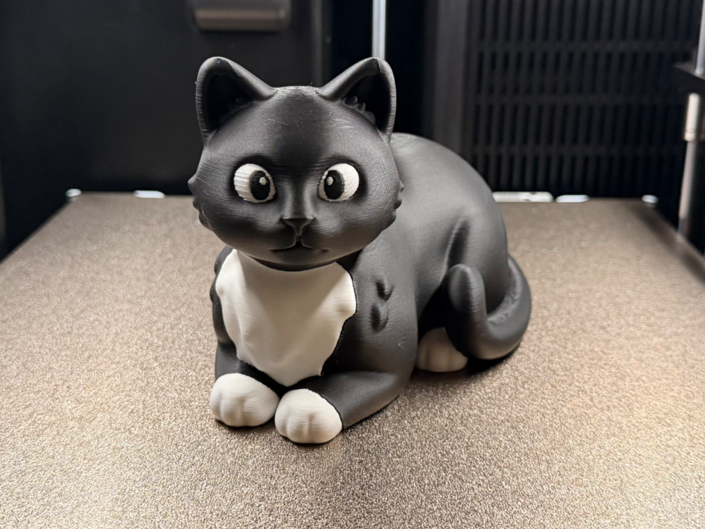 Tuxedo Cat Cartoon Style