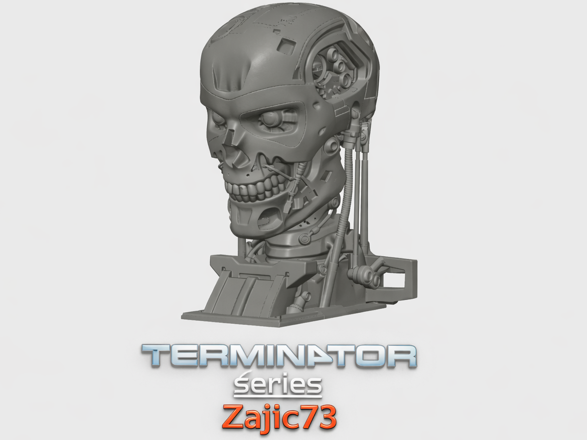 T800 Skull bust