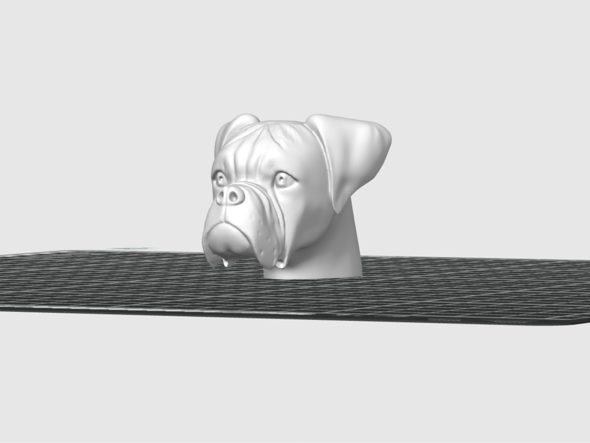 Dog Boxer Head Sculpture 3D Model