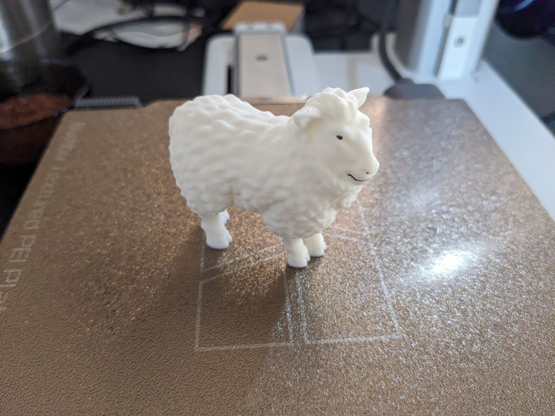 Sheep without support