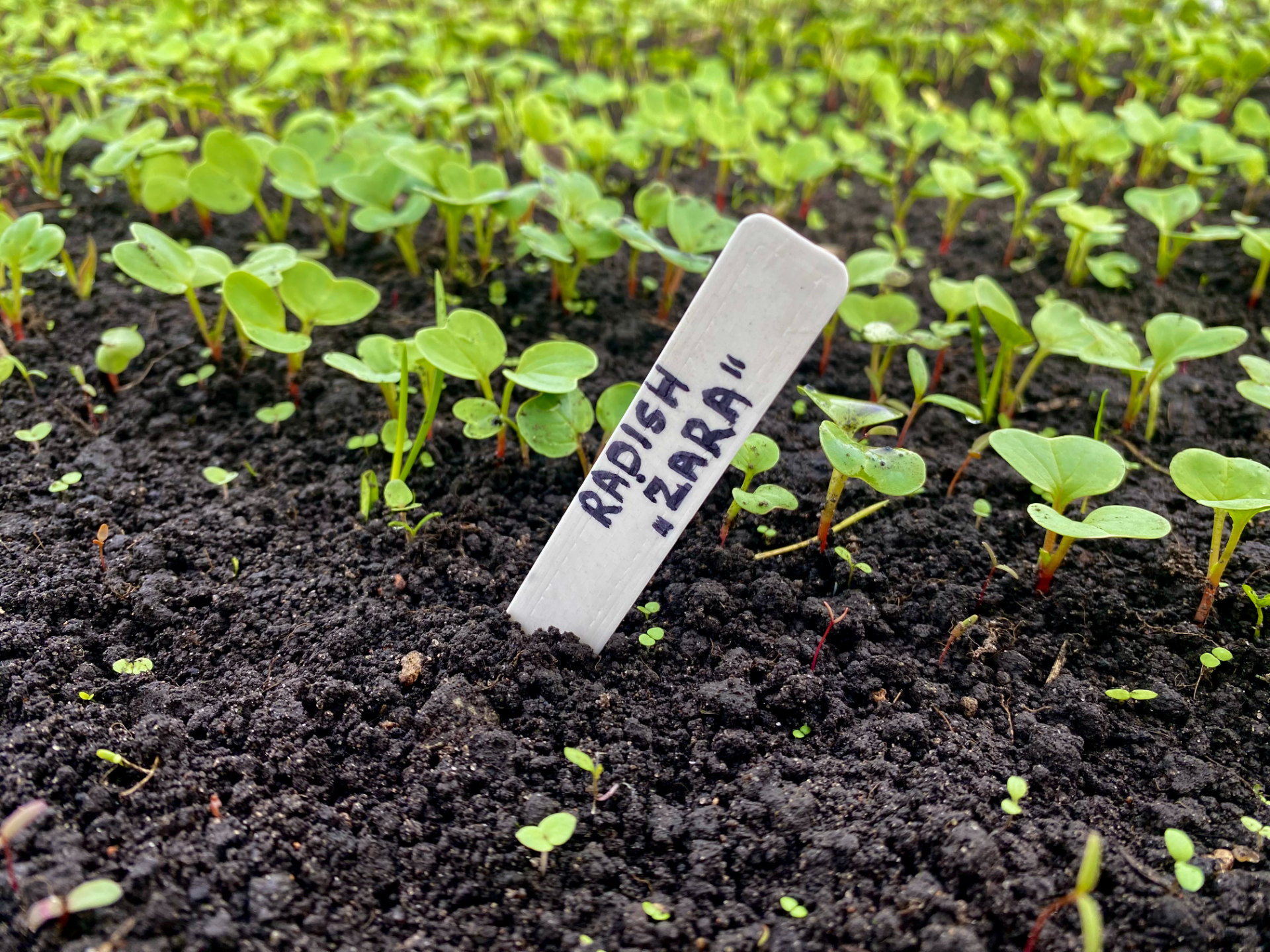 Gardening markers