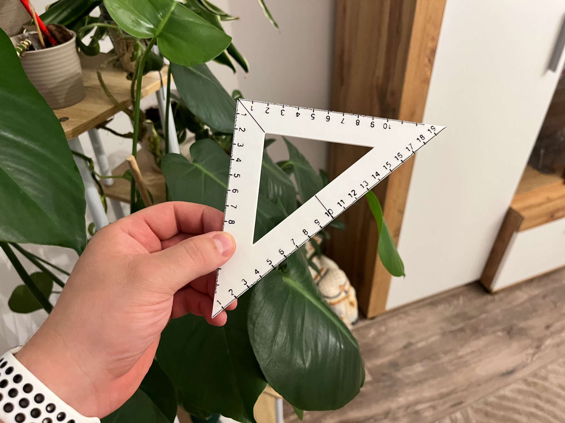 A triangle ruler - set square