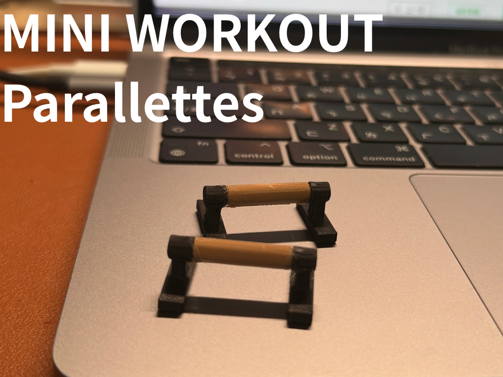 Mini workout Parallettes